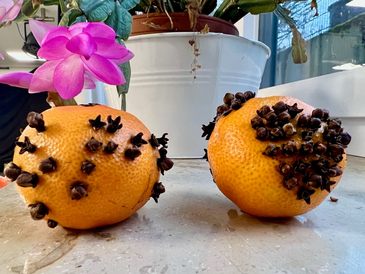  Zwei mit Nelken gespickte Orangen liegen auf einem Tisch. 