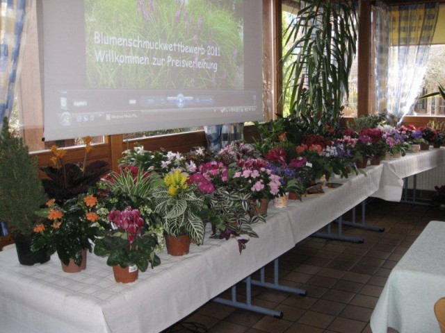  . Blumenschmuckwettbewerb 2011 