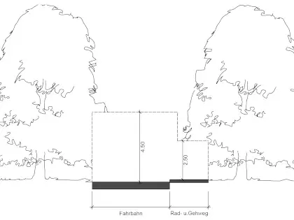 Eine Grafik zeigt, welche Bereiche des Gehwegs frei von Hecken sein müssen.